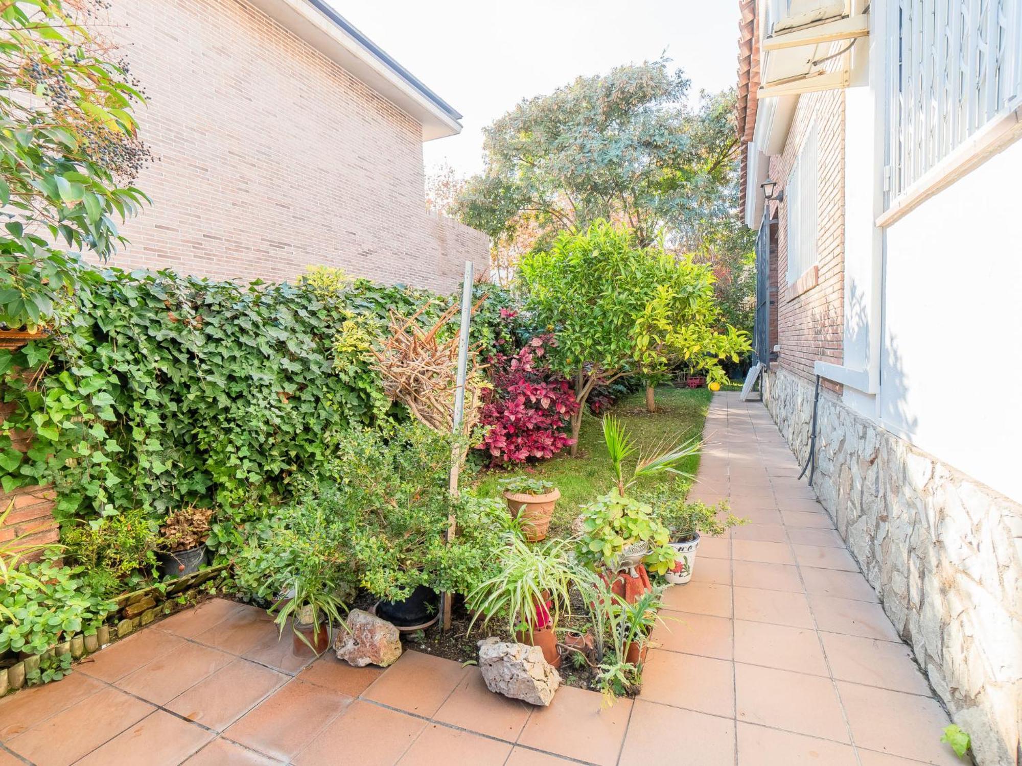 Aurea By Interhome Pineda de Mar